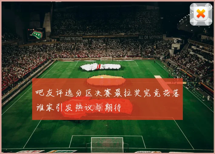 吧友评选分区决赛最拉奖究竟花落谁家引发热议与期待